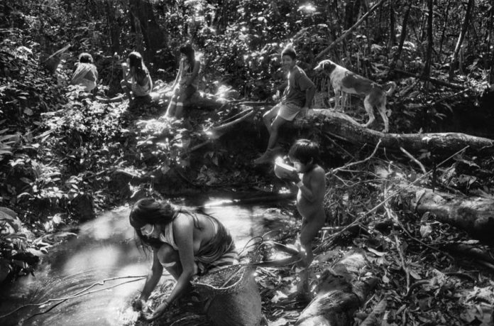 98-7-207-8 salgado