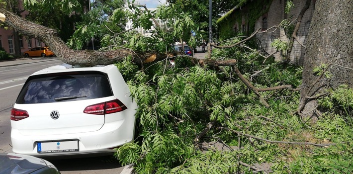 LPI-EF: VW durch herabfallenden 200-Kilo-Ast beschädigt