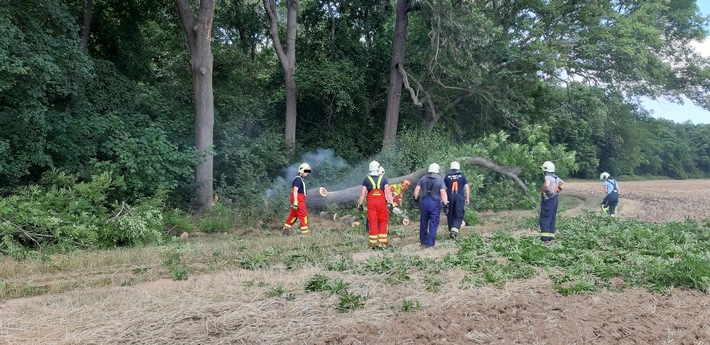 LPI-EF: Blitzschlag löst Schwelbrand im Steigerwald aus
